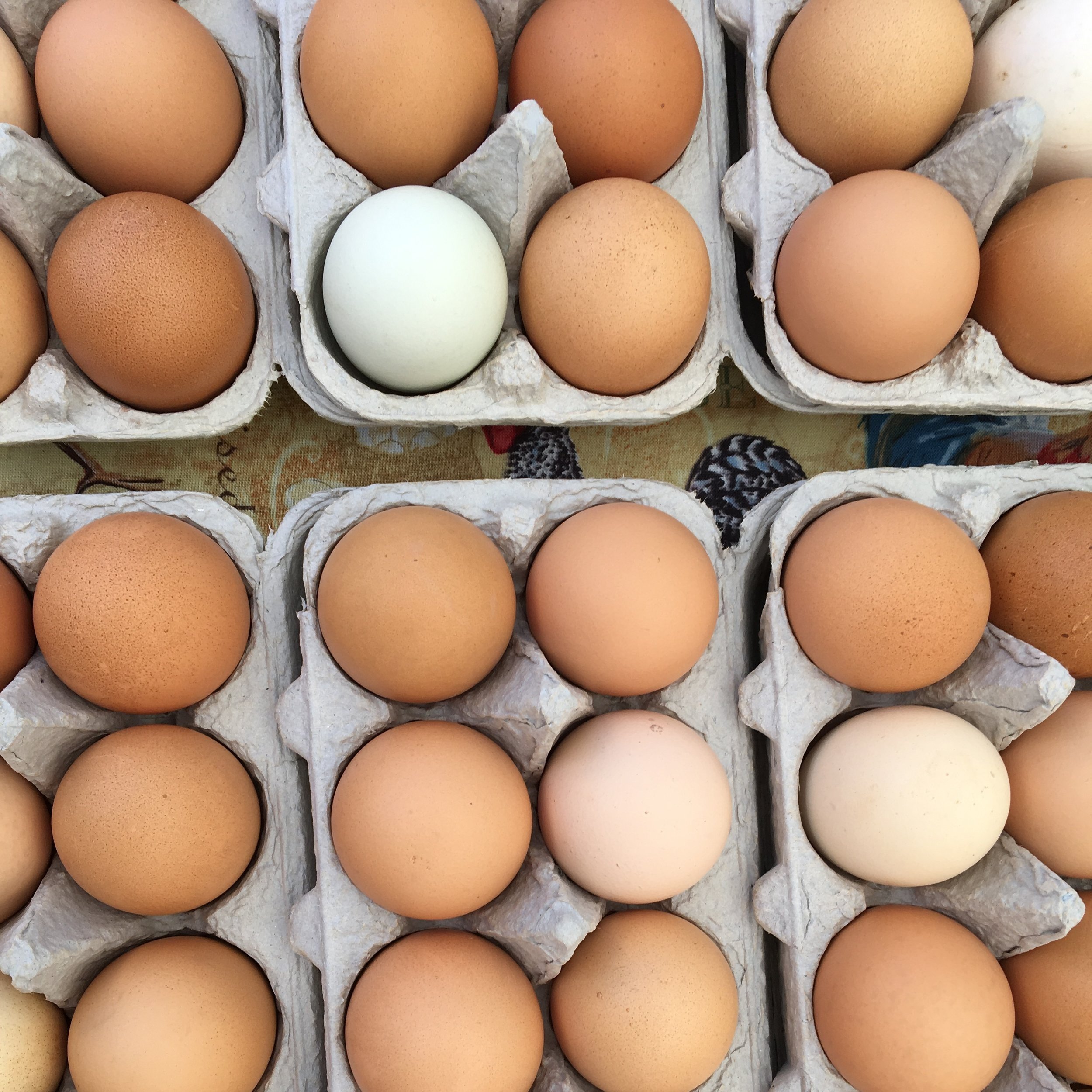 Variety of eggs in cartons, featuring brown, white, and cream-colored eggs, displayed on a patterned surface. Ideal for illustrating fresh farm produce or egg recipes.
